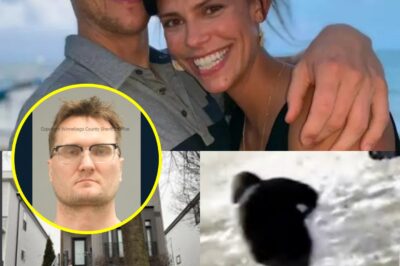 Mystery deepens as family of slain Ohio dentist, wife pour cold water on eerie surveillance video