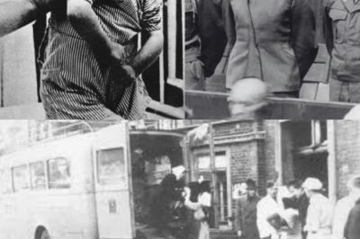 Nazi Germany Crushed When American Courts Revealed What Really Happened To 70K T4 Victims