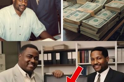 $2,8M Vanished in 1993 — 21 Years Later, One Criminal’s Family Tree Ended the Scheme